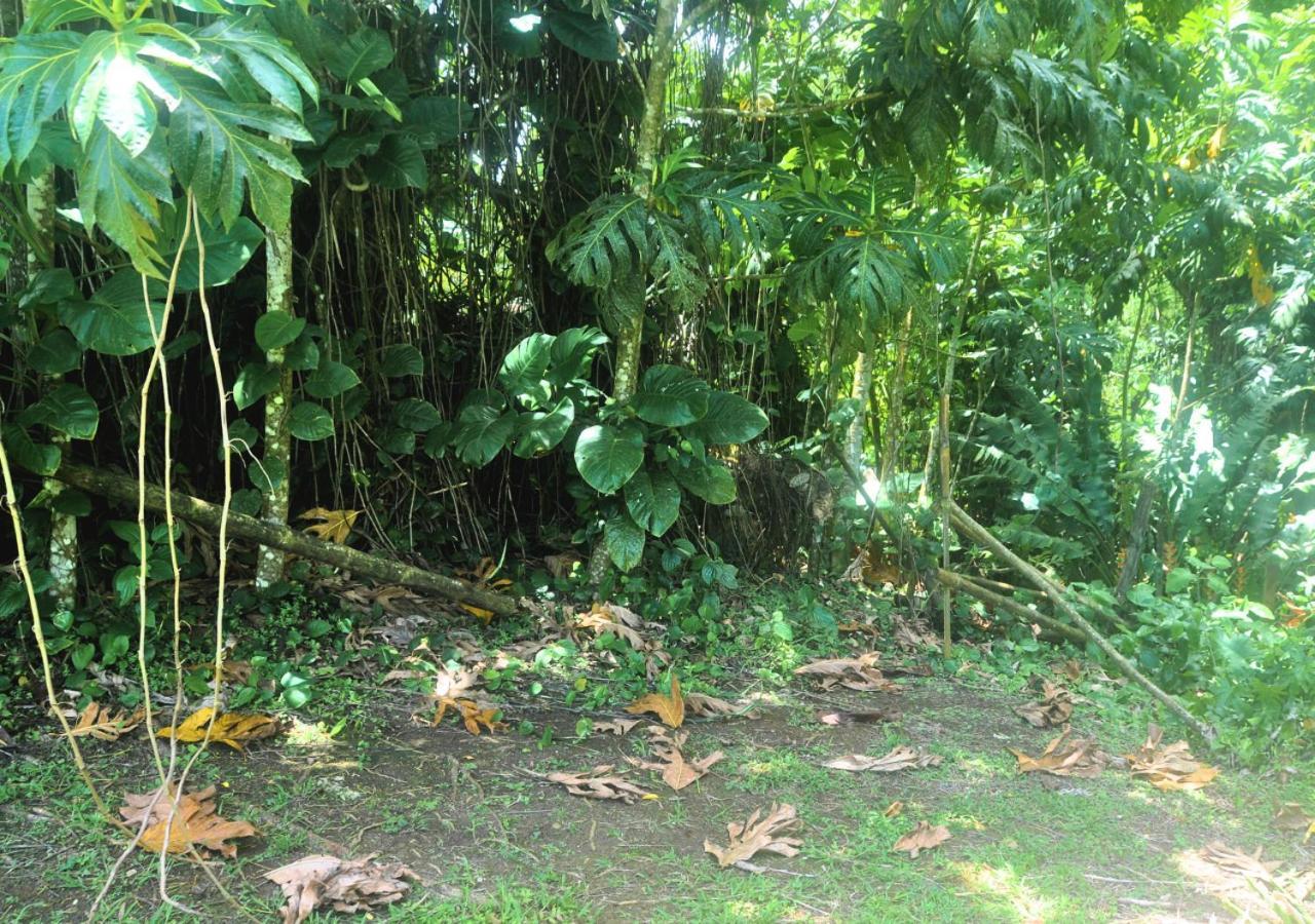 Villa Leila Sainte-Rose Bagian luar foto